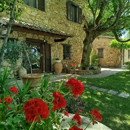 All'Ombra Di San Damiano-2