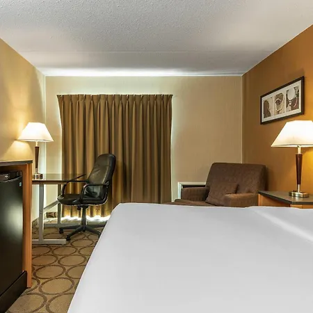 Comfort Inn West-3