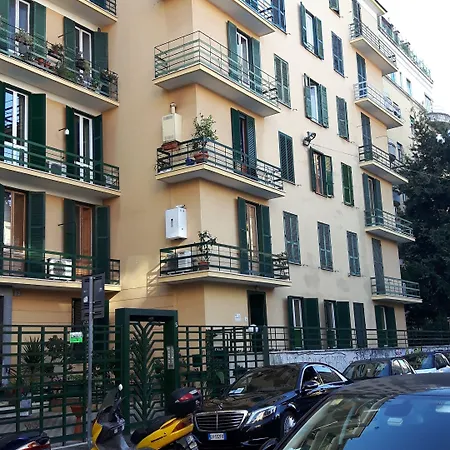 Palma-2