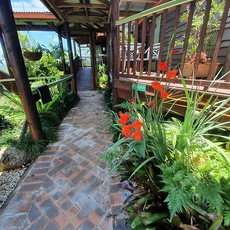 Tamborine Mountain Bed And Breakfast-3