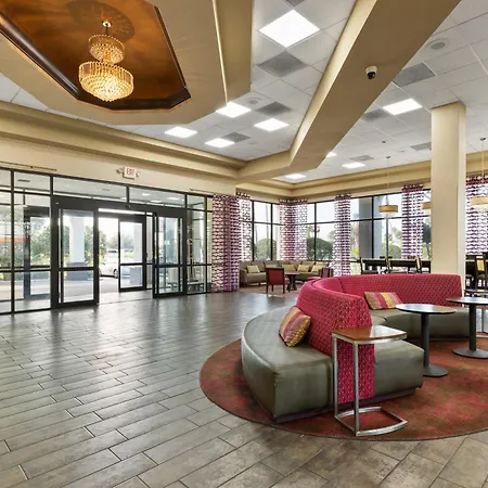 Orlando Palms-3