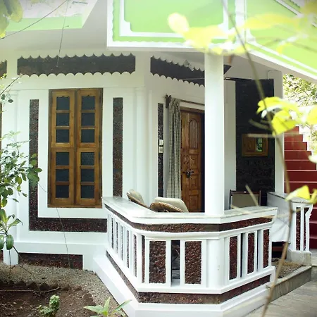 Jickys Nest-3