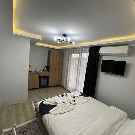 Mini House-2