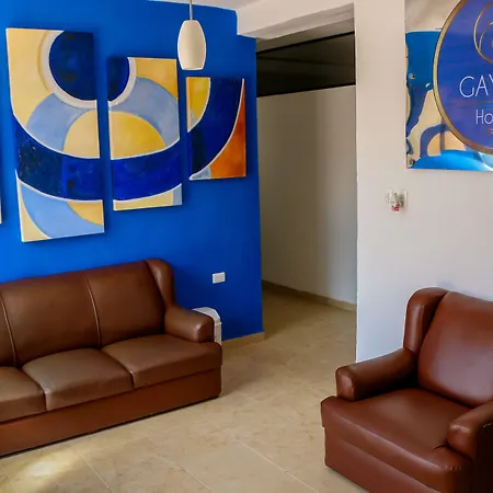 Hostal Gayser-2