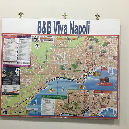 B&B Viva Napoli-2
