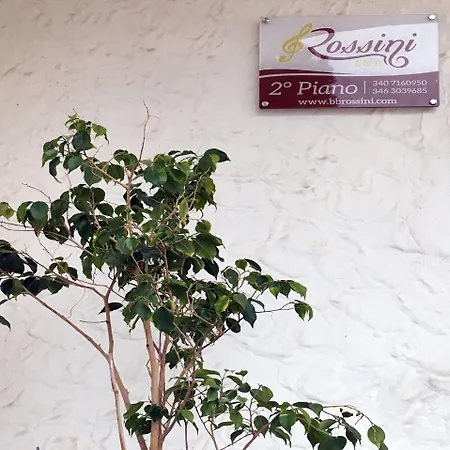 B&B Rossini-2
