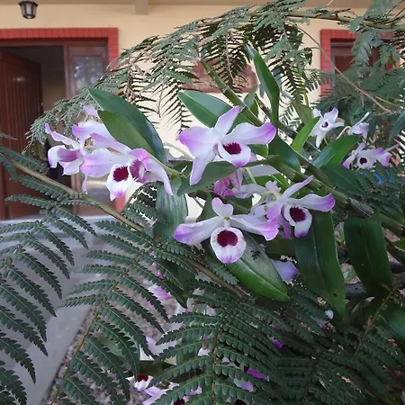 Pousada Floratta Nossa Casa-3