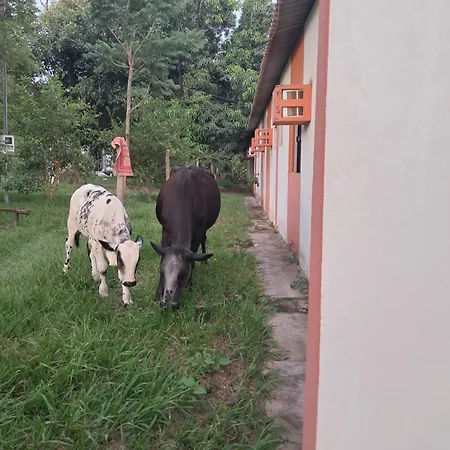 Chácara Pousada Sagui-3