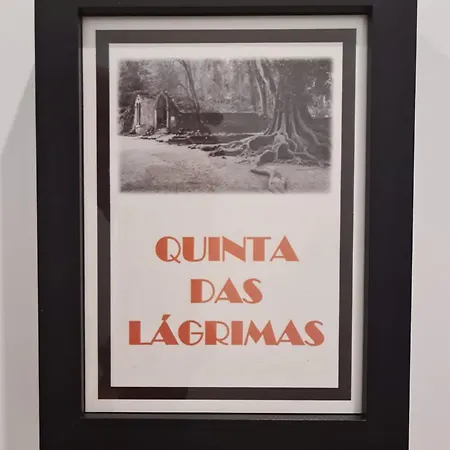 Coimbra City Charm-3