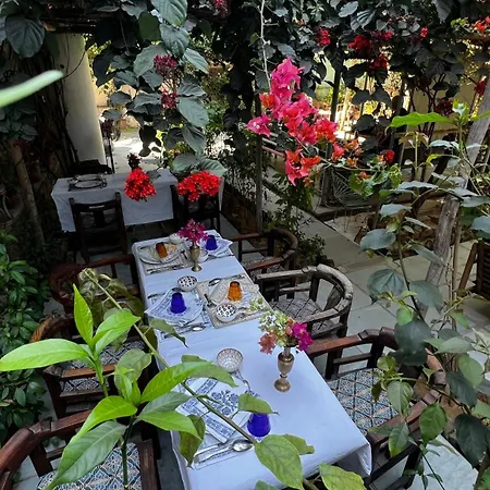 Mosaics Guest House-3