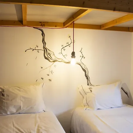 Collector'S Home-3