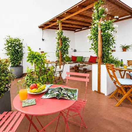 City Garden Bed And Breakfast-2