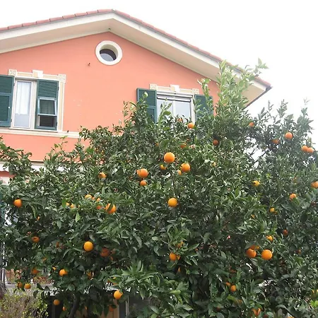 Le Clementine B&B-2