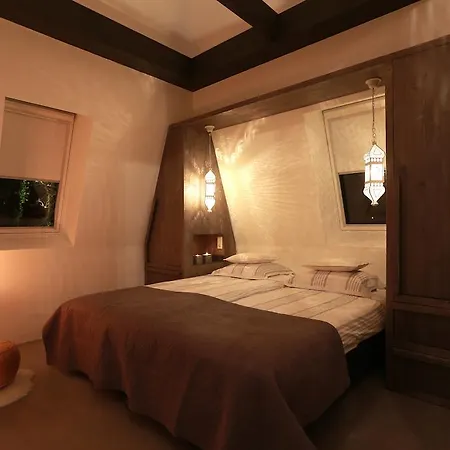 Loft 49-2