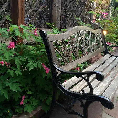 Castle Marne Bed & Breakfast-2