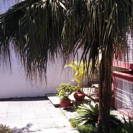 Comodita-2