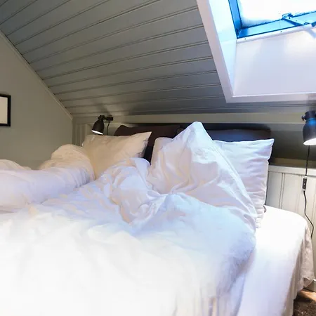 Reykjavik Treasure B&B-3