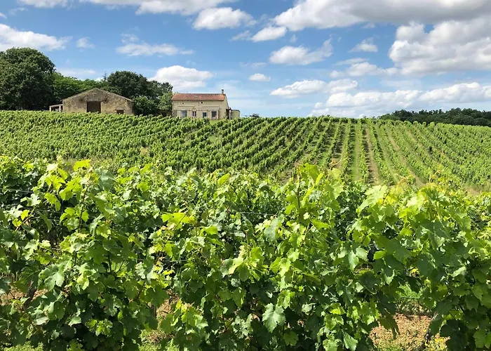 Chateau Le Truch