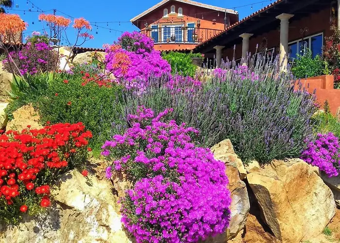Vina Calabria