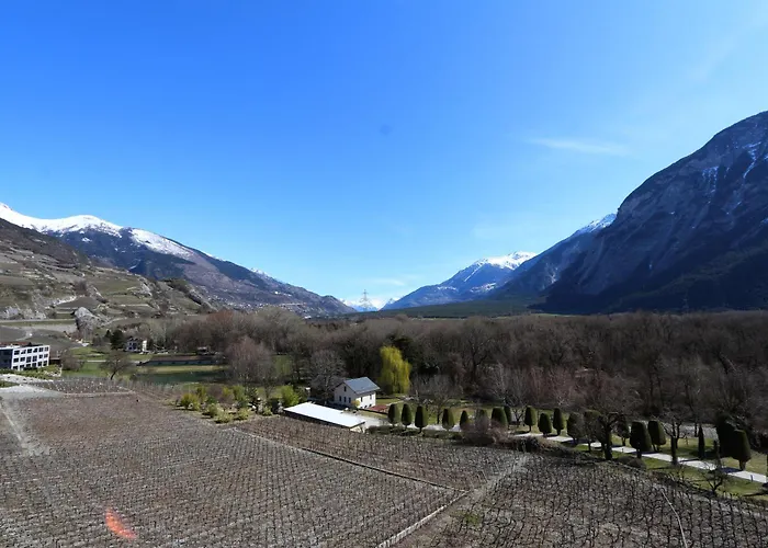 Bnb Vino Veritas
