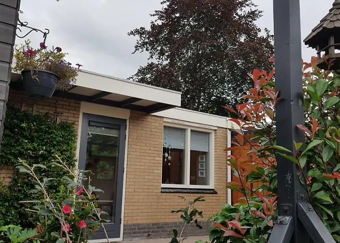 Achter de Beukenboom