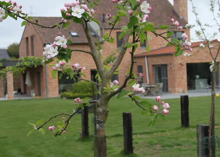 B&B 't Hoogste