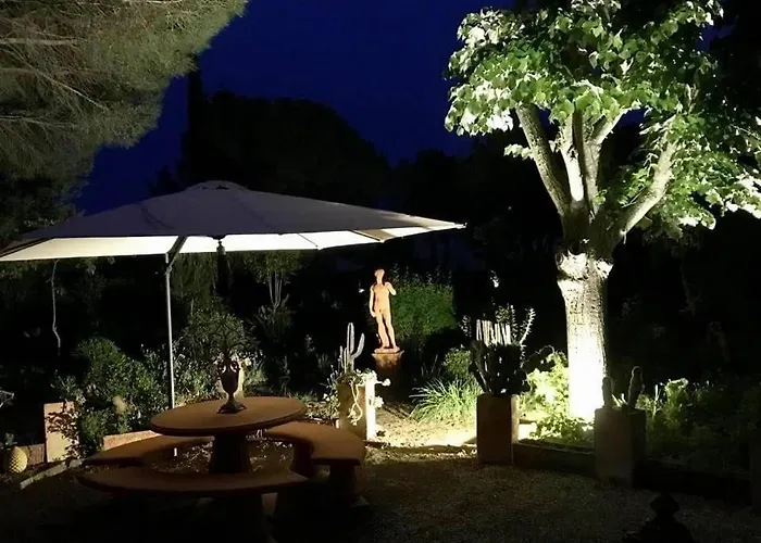 La cactée singulière
