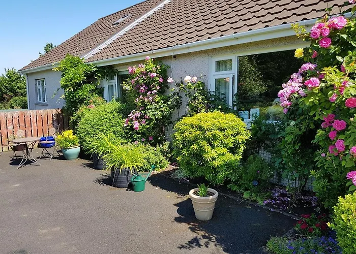 Meadow View B&B