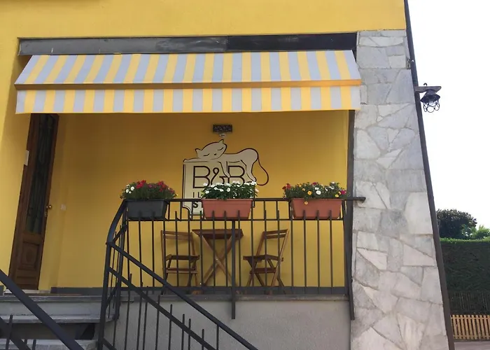 Il Gatto Stanco B&B