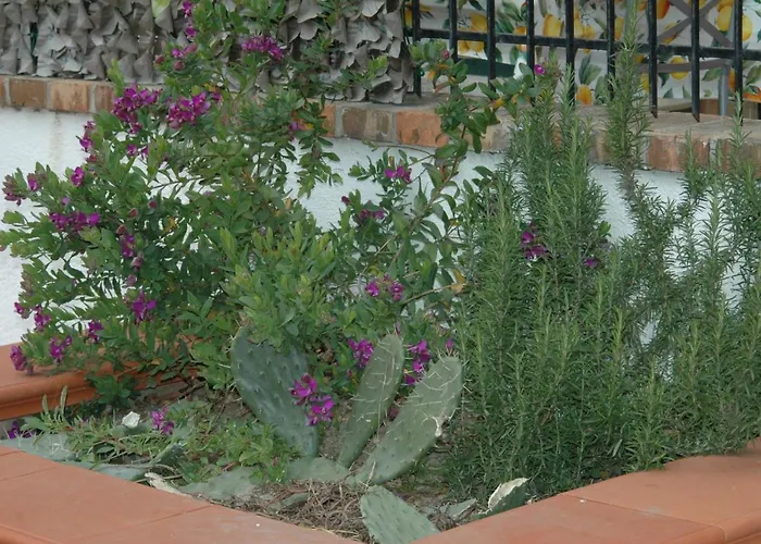 B&B La Terrazza