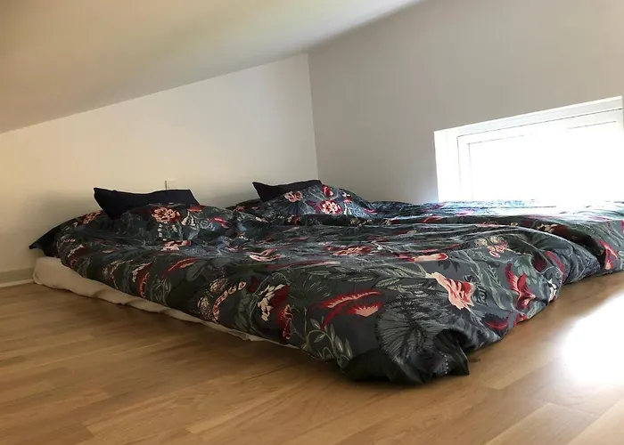 Fly B&B