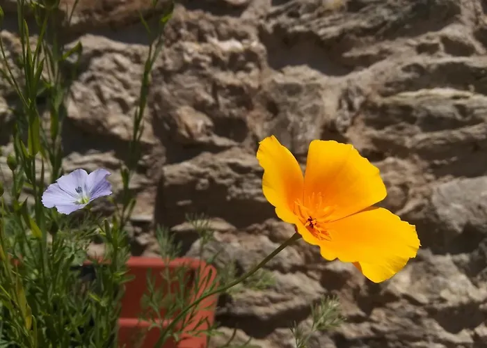 B&B Cedavecia