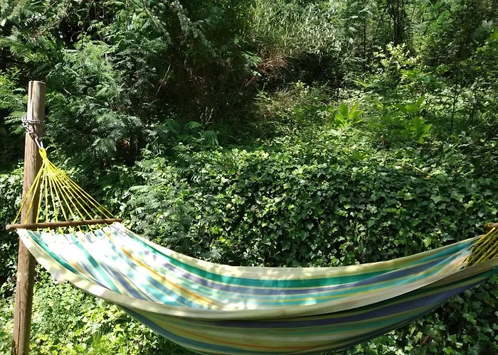 Pura Vida