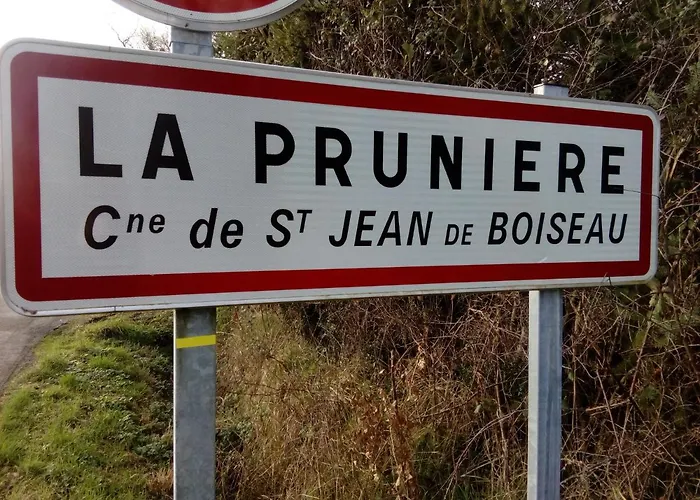 Boizen