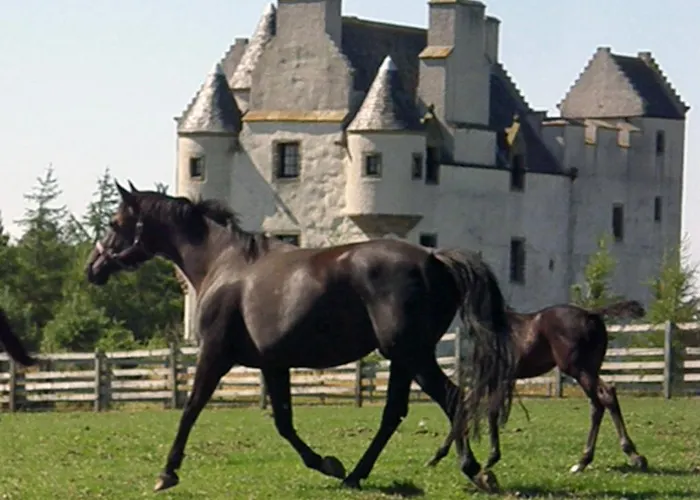 Faside Estate