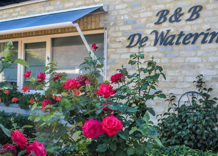 B&B De Watering
