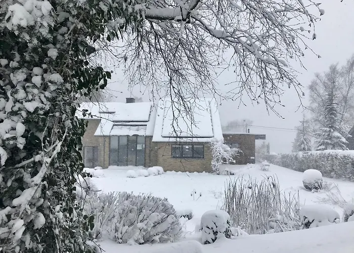 "Un Matin Au Jardin"