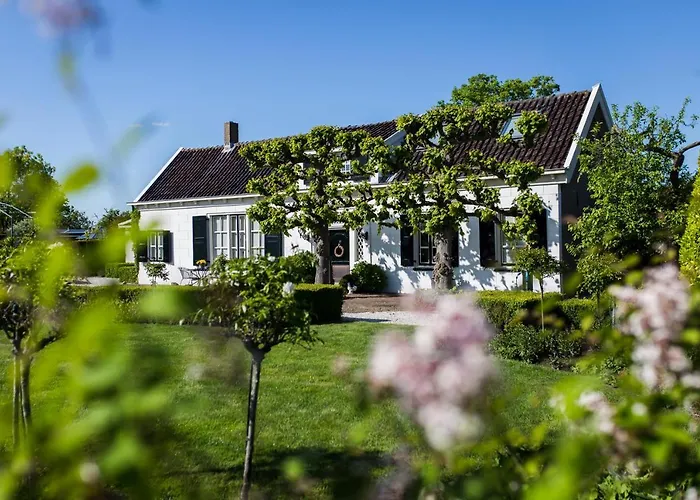 B&B Wilhelmina'S Cottage