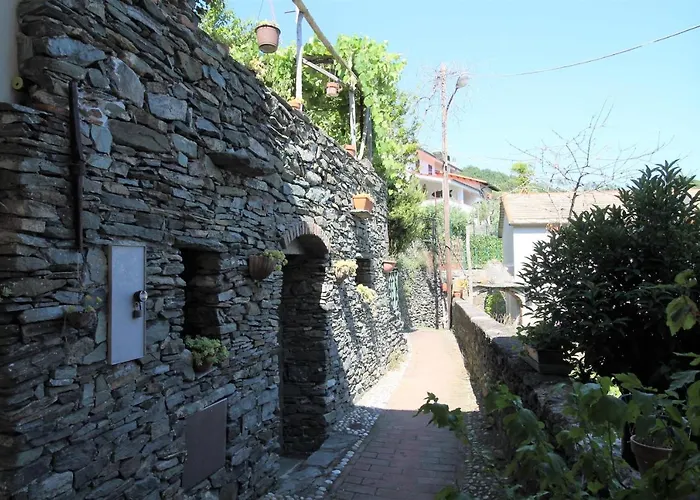 Il Rosale A Celle Ligure