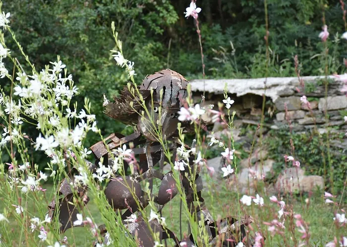 Domaine des Fougères
