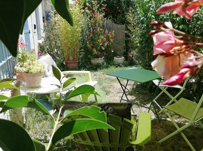 Chambre D'Hote - Mas Le Barret
