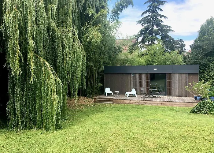 Un petit nid dans la verdure
