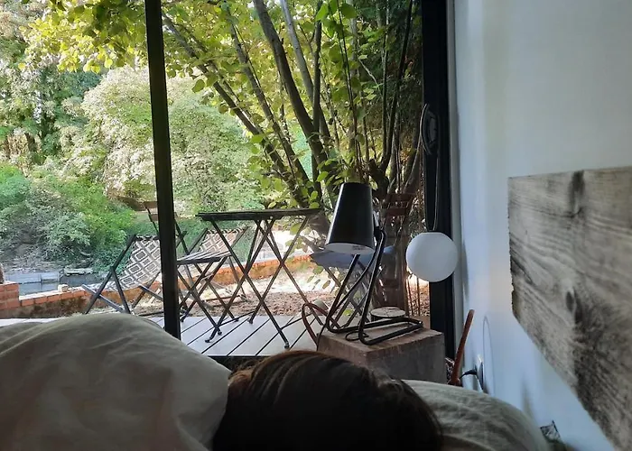 La Cabane de Troyes - Chambre d'hôtes