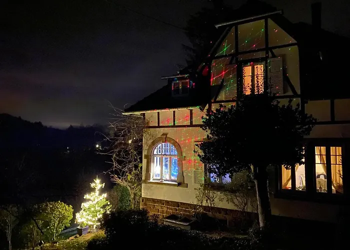 La Dependance de la Villa des Oiseaux - La Petite Pierre