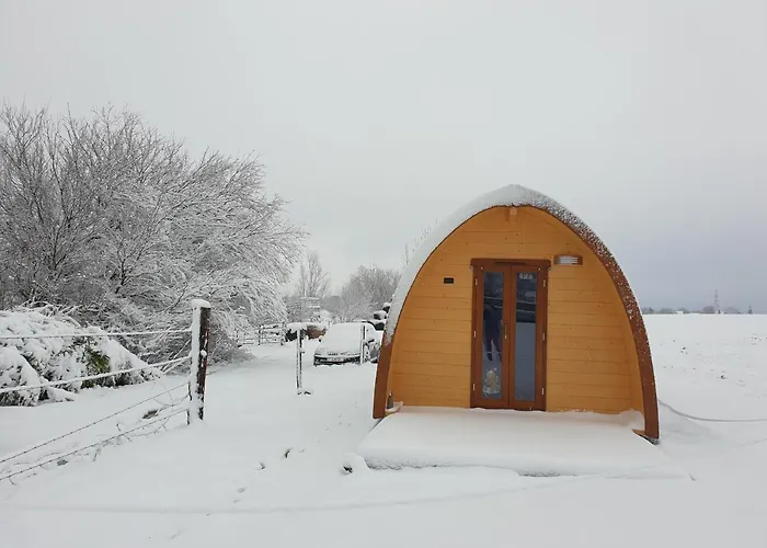 B&B La Ferme Du Chateau De Broich