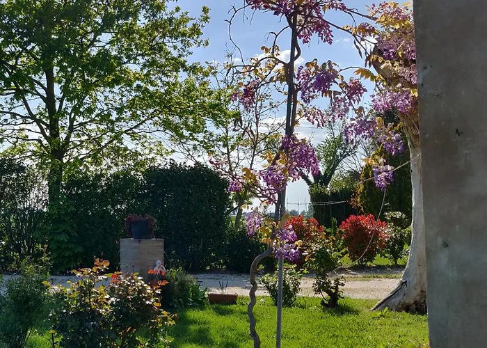 B&B Il Glicine Nascosto