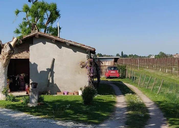 B&B Il Glicine Nascosto