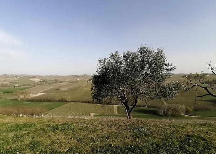 Tenuta Le More