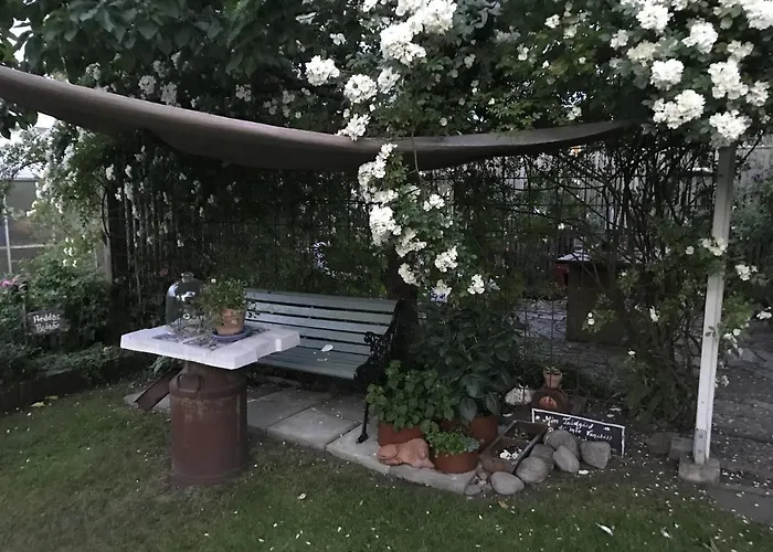 B&B Bland Ormbunkar Och Rosor