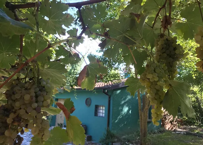 Casina Morgana B&B